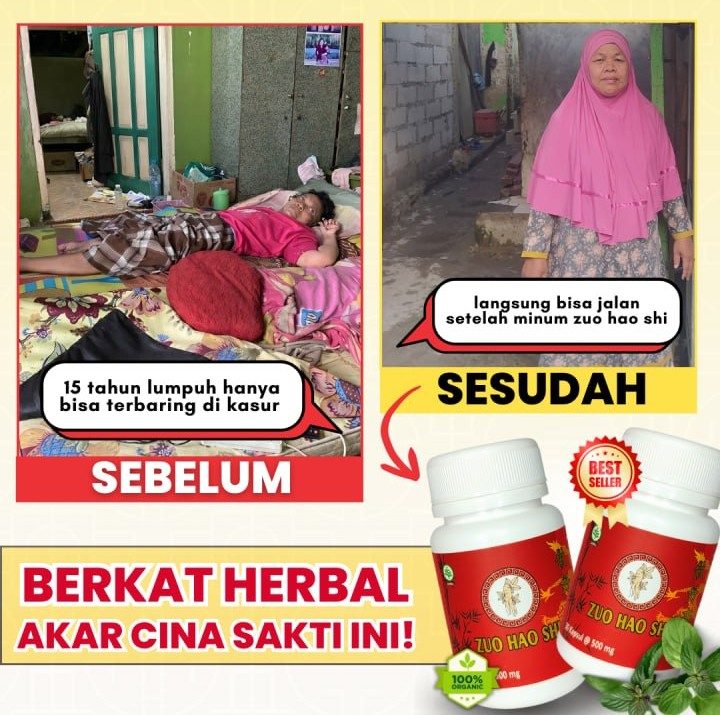 Zuo Hao Shi - Obat Cina Herbal Saraf kejepit - 1 pcs ( KI )